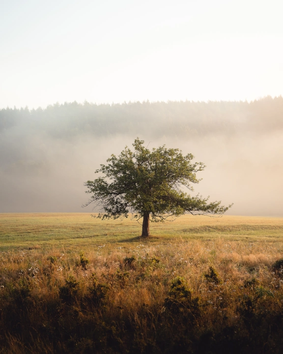 Denti-che-si-muovono-attenzione-potresti-avere-la-parodontite